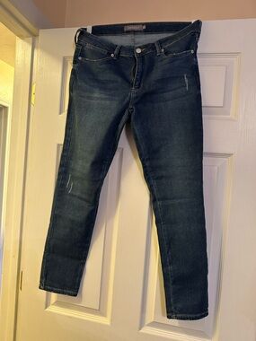 Just USA Marian Skinny Jean in Indigo Wash